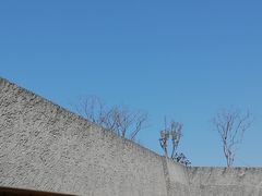 -上海山野camping·户外天幕烧烤·团建拓展营地