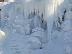 -鲁山国家森林公园