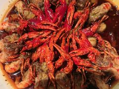 -红盔甲·小龙虾(天钥桥店)