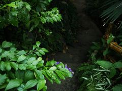 -华南国家植物园-售票处