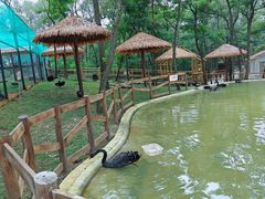 -南戴河国际娱乐中心