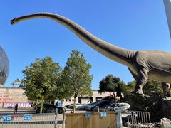 -陕西自然博物馆