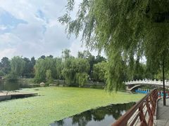 -长春市南湖公园