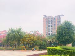 -映月湖公园