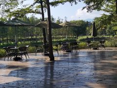 -佛冈森波拉度假区