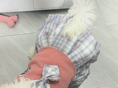 -博特宠物医院24h犬猫全科.骨科·异宠