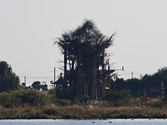 -云漫湖生态度假公园