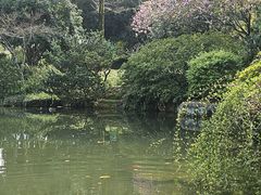 -中国茶叶博物馆(双峰馆区)