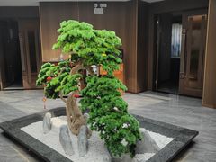 -流花苑精致潮粤菜(越秀店)