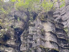 -梭布垭石林景区