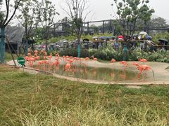 -武汉动物园