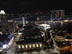 -新加坡瑞士史丹福酒店