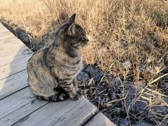 -野鸭湖国家湿地公园