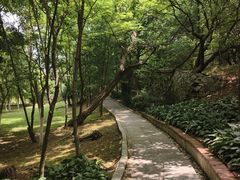-棒棰岛宾馆景区