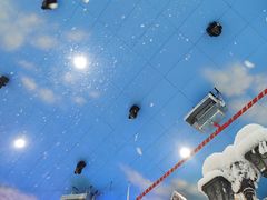 -世界之窗阿尔卑斯冰雪世界
