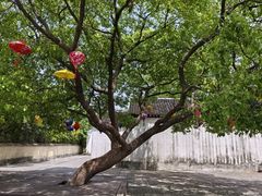 -同里国家湿地公园