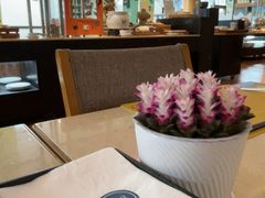 -永泰福朋喜来登酒店-宜客乐自助餐厅(远大路店)
