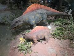 -湖南省地质博物馆