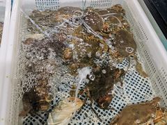 -盒马鲜生(曜一城店)