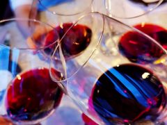 -广州四季酒店·佰鲜汇·现代法餐