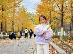 -长白岛森林公园