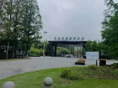 -黄海国家森林公园