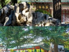 -南山公园
