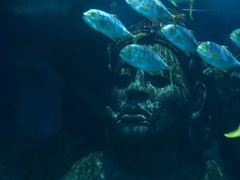 -暹罗海洋世界