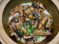 -红星光发煲仔饭(文海店)