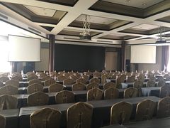 -成都峨眉雪芽大酒店