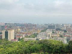 -仙岳公园