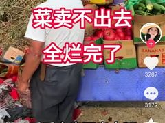 -约翰·菲茨杰拉德·肯尼迪国际机场