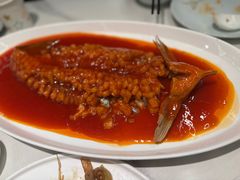 -粤香村(清真川菜店)