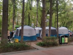 -长春市南湖公园