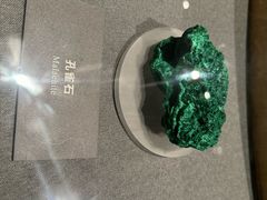 -广西民族博物馆