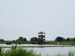 -盐城丹顶鹤湿地生态旅游区