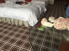 -苏州西交利物浦大学国际会议中心