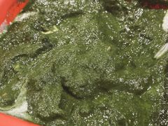 印式乡村芝士配菠菜酱咖喱-克比叔叔印度餐厅Kebabs on the Grille(人民广场店)