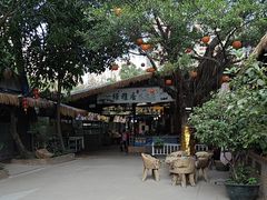 -绿雅居原生态农庄(小涌店)