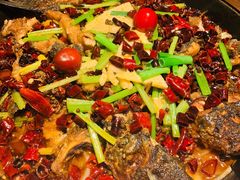 -老板恋上鱼(印象城店)