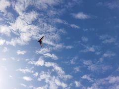 -金谷域澳洲庄园