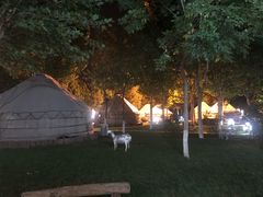 -九十九顶毡房(阜石路店)