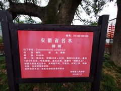 -新安江山水画廊风景区