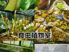 -国家植物园南园