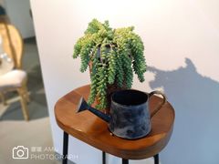 -微饮cafe