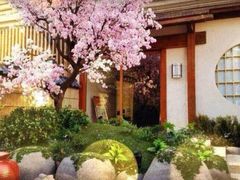 -汤泉良子(金源店)