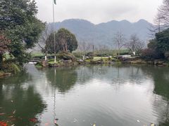 -中国茶叶博物馆(双峰馆区)