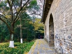 -灵谷景区