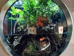 -万岛日本料理铁板烧(万泰国际店)