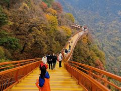 -少华山国家森林公园